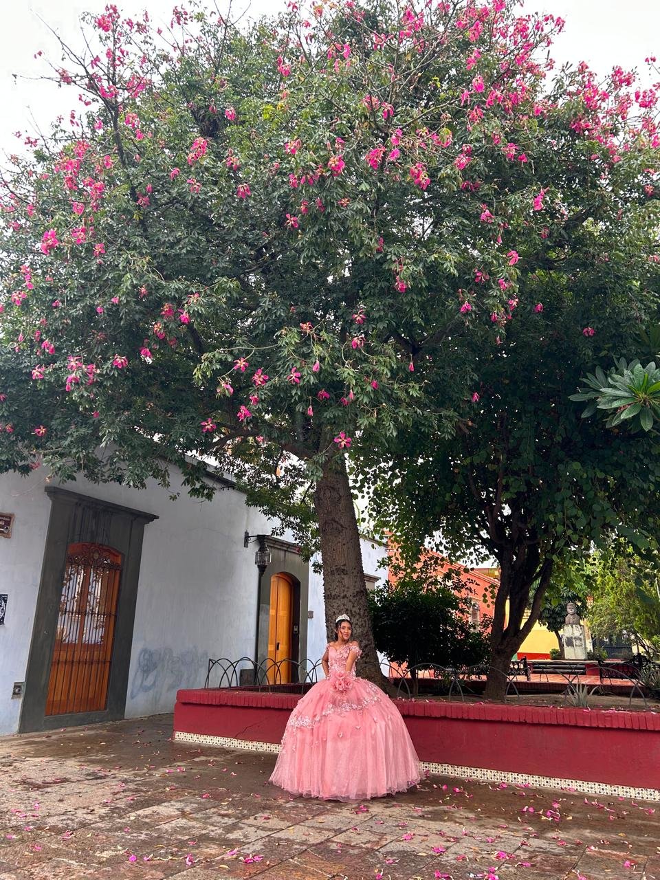 Fotografía 2